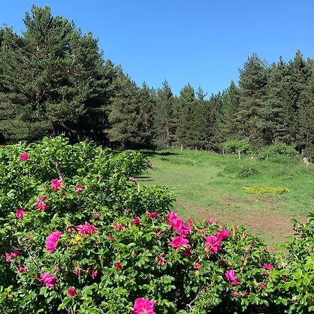 Gite Ranch Le Serpolet Les Angles  Exterior foto