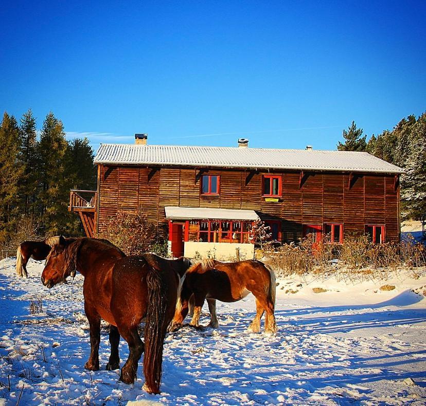 Gite Ranch Le Serpolet Les Angles  Exterior foto