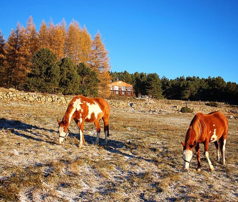 Gite Ranch Le Serpolet Les Angles  Exterior foto