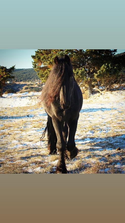 Gite Ranch Le Serpolet Les Angles  Exterior foto