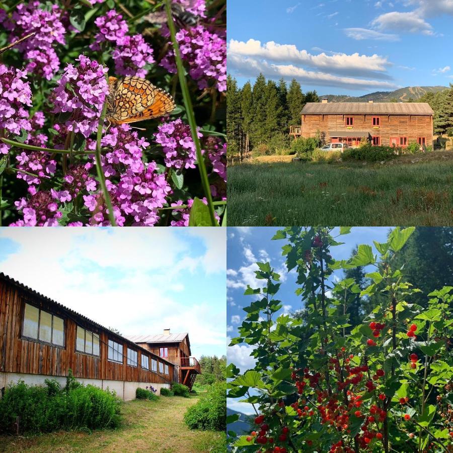 Gite Ranch Le Serpolet Les Angles  Exterior foto