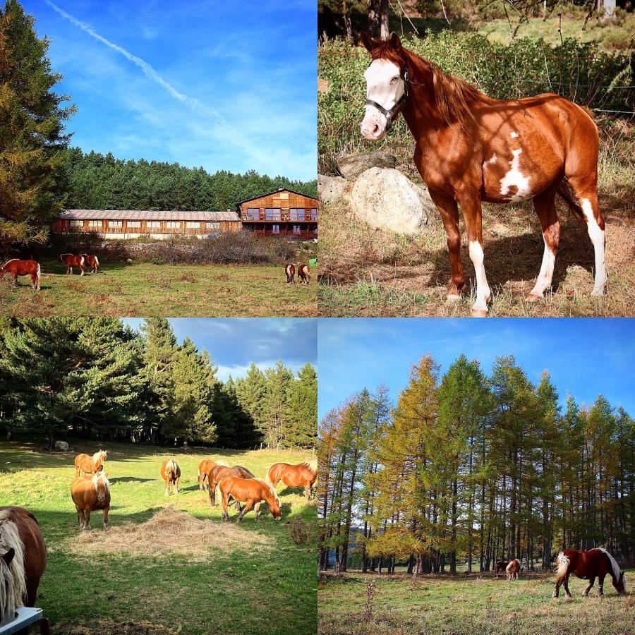 Gite Ranch Le Serpolet Les Angles  Exterior foto
