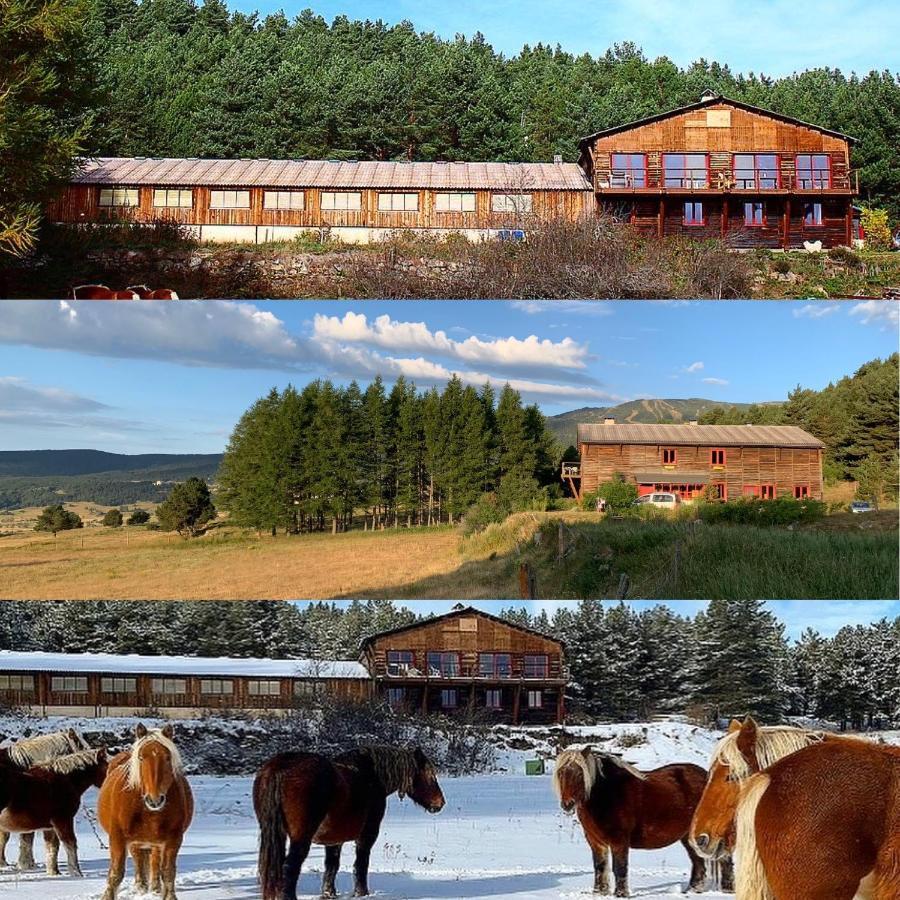 Gite Ranch Le Serpolet Les Angles  Exterior foto