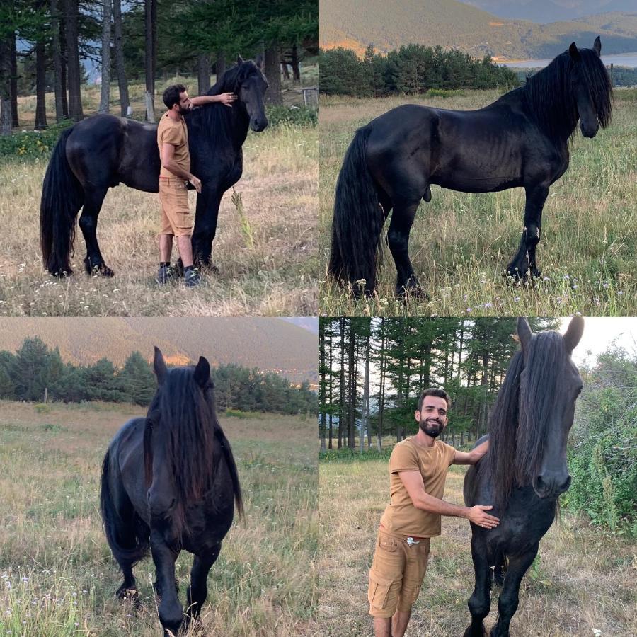 Gite Ranch Le Serpolet Les Angles  Exterior foto