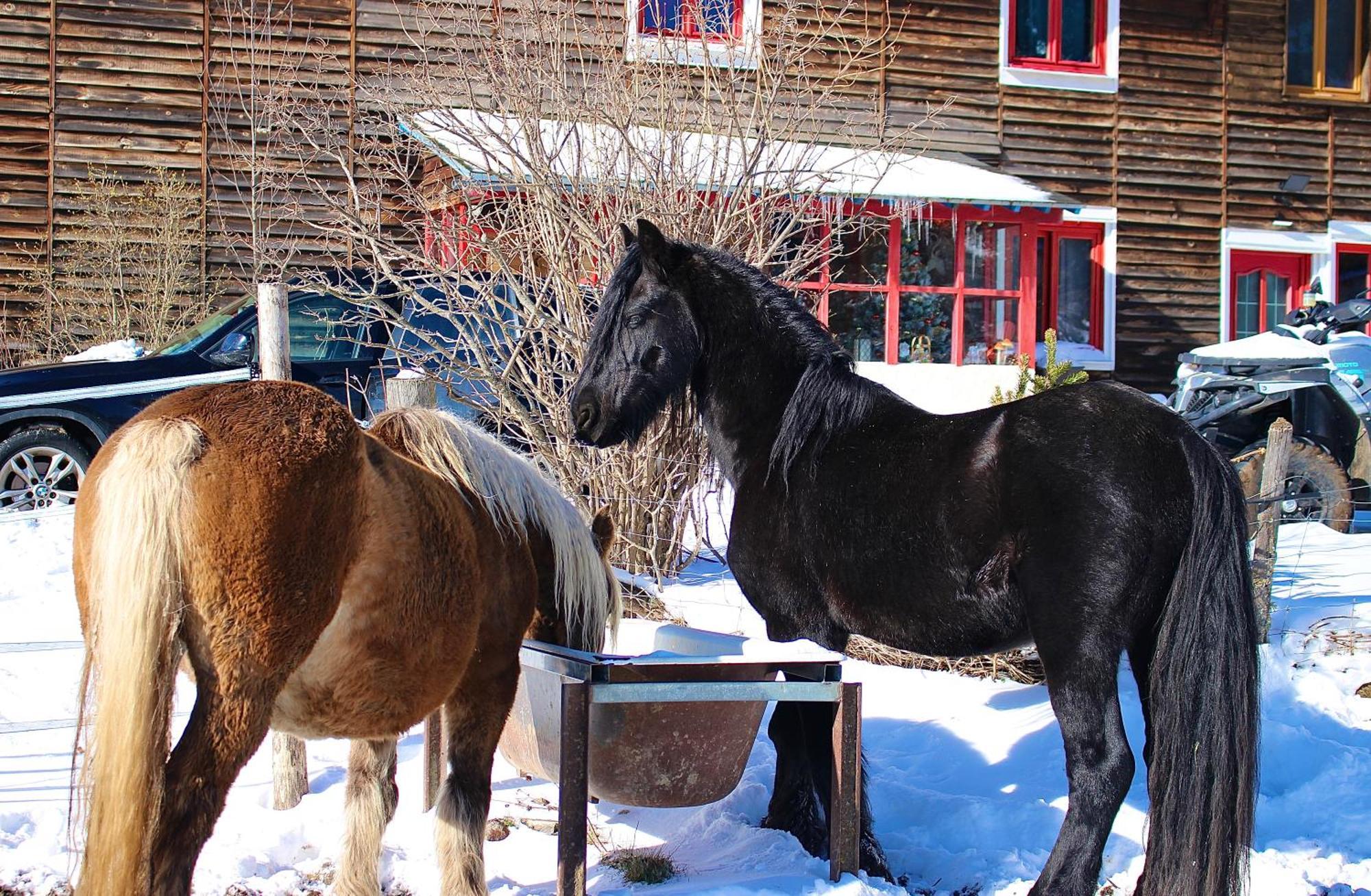Gite Ranch Le Serpolet Les Angles  Exterior foto